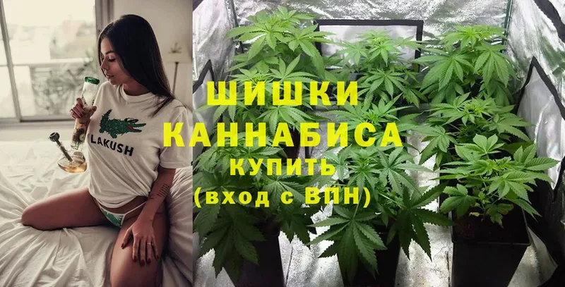 Каннабис Ganja  Ивдель 